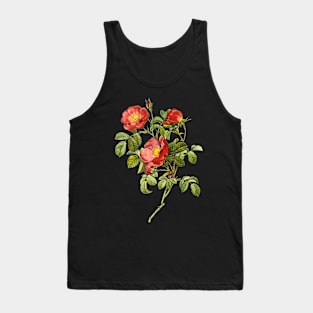 Redoute Roses, Gallica Plumira Tank Top